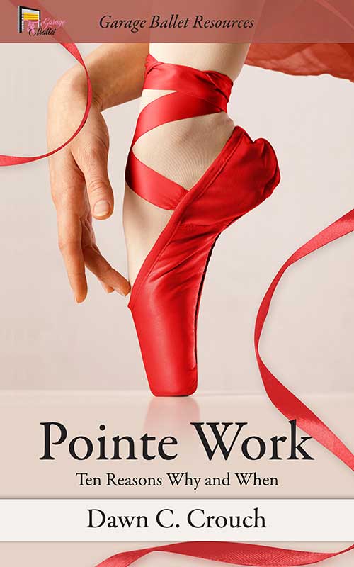 Book cover for Point Work by Dawn C. Crouch